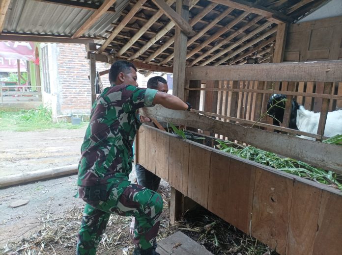 Gambar WhatsApp 2025-11-04 pukul 19.20.22_296c52f8