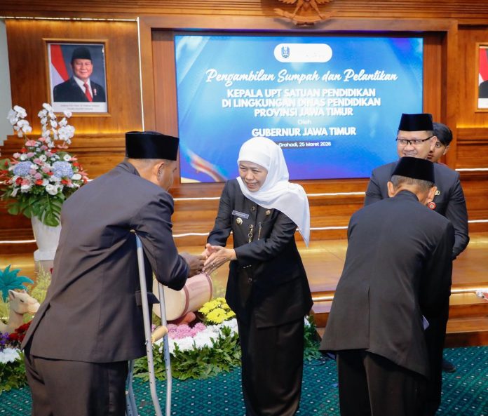 WhatsApp Image 2026-03-26 at 17.59.38 (1)