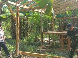 Aksi Babinsa di Boyolali Jadi Sorotan, Ikut Bangun Pondok Kebun Bersama Warga