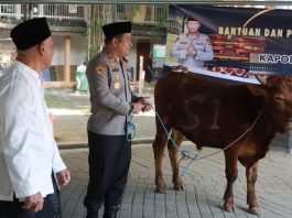 Kapolres Jombang Serahkan Sapi Kurban dari Kapolda, Pesan Kebersamaan Jadi Perhatian