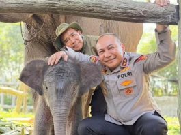 Mengapa Kapolda Riau Herymen Jadi Perbincangan Usai Lahirnya Nona Seroja di Tesso Nilo?