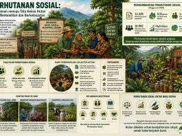 Swary Utami Dewi : Perhutanan Sosial: Perjalanan menuju Tata Kelola Hutan yang Berkeadilan dan Berkelanjutan