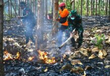 Masuki musim Kemarau, Kodim Wonogiri Gelar Latihan Penanggulangan Bencana Alam Kebakaran Hutan Lahan