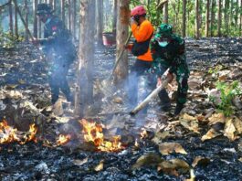 Masuki musim Kemarau, Kodim Wonogiri Gelar Latihan Penanggulangan Bencana Alam Kebakaran Hutan Lahan