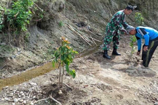 Hijaukan Lereng Sungai, Babinsa Mliwis Bersama Warga Tanam Pohon Demi Cegah Banjir dan Longsor